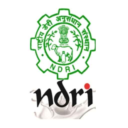 Institute Logo