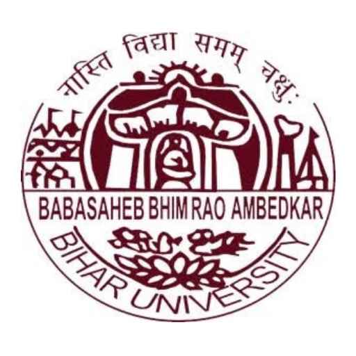 Institute Logo